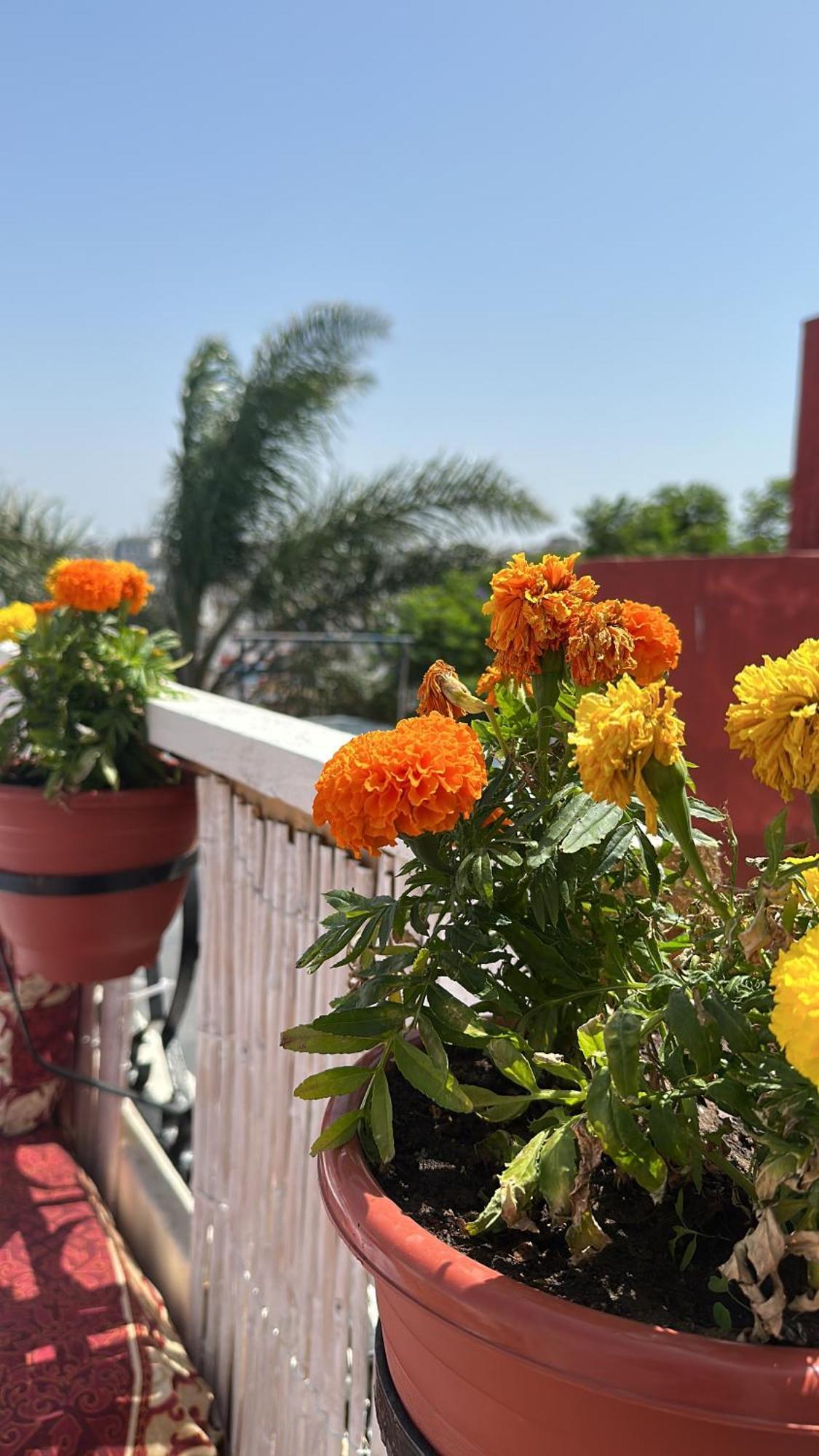 House With Sea View In Kasbah Villa Tanger Ngoại thất bức ảnh